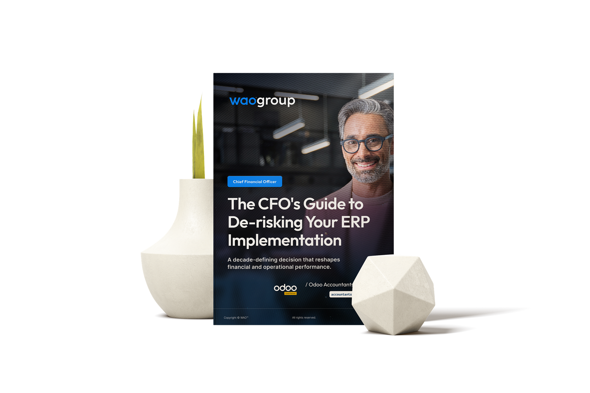 Download: The CFO's Guide to De-risking Your ERP Implementation