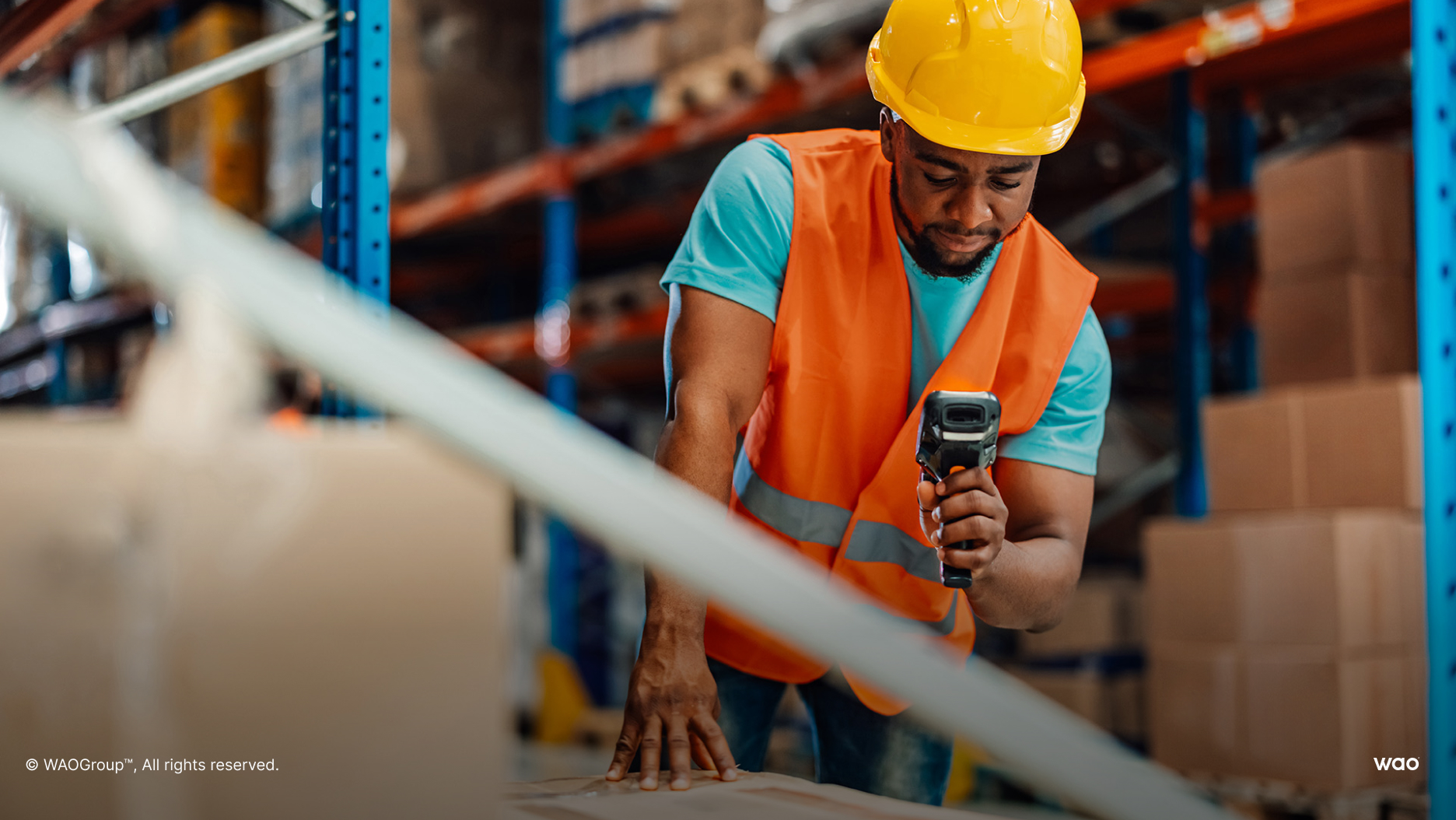 Odoo vs Jiwa: Which Should You Choose?